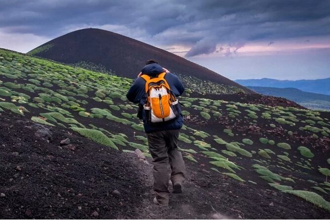 Half Day Guided Tour in Mount Etna (3000 meters) - The cable car and the 3000-meter goal (and cost)