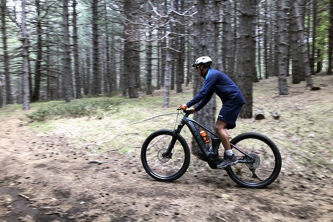 Half Day Tour to discover Etna by E-Mtb - Beech forest and the Timpa Rossa refuge break