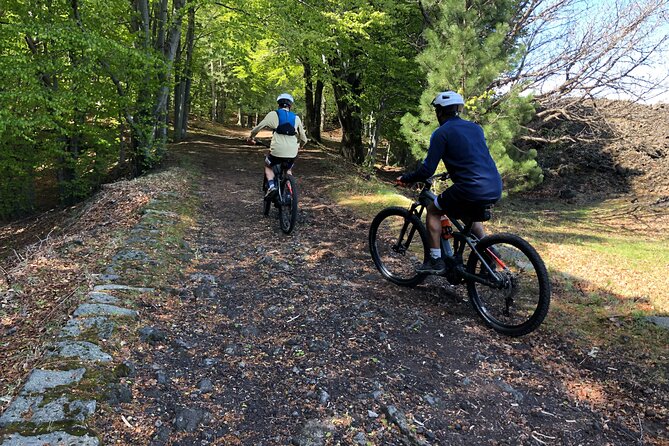 Half Day Tour to discover Etna by E-Mtb - Ragabo pine forest start: Zafferana Etnea to the Altomontana track