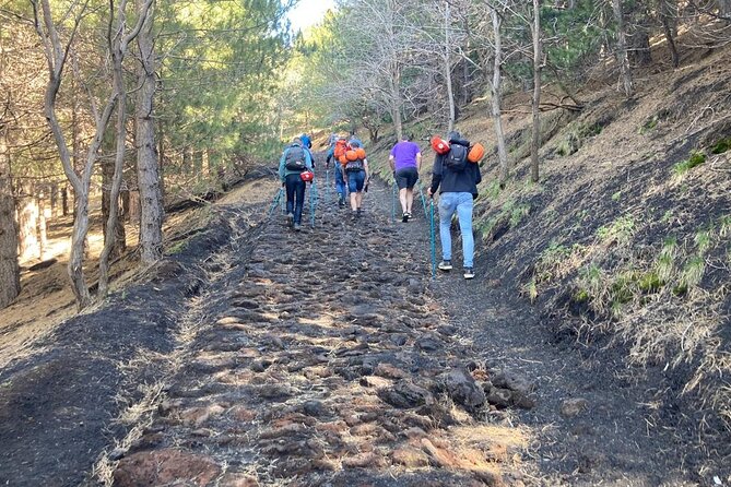 Half day Trekking Tour on Etna - Craters Silvestri and a Lava Cave: Practical Gear Makes It Fun