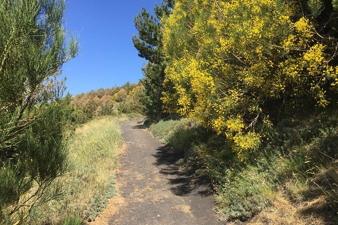 Half day Trekking Tour on Etna - What to Bring (Because Your Tour Doesn’t Supply Lunch)