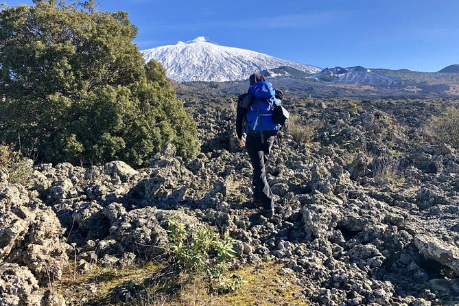 Half or full day trekking on Etna with private guide - MontataGrande tastings: the break that actually feels connected to the hike