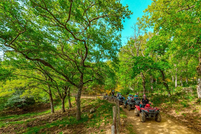 Hike on the trails of the ancient shepherds - 4h - Quad/ATV - Castelbuono on foot: walking to Bar Fiasconaro for a panettone moment