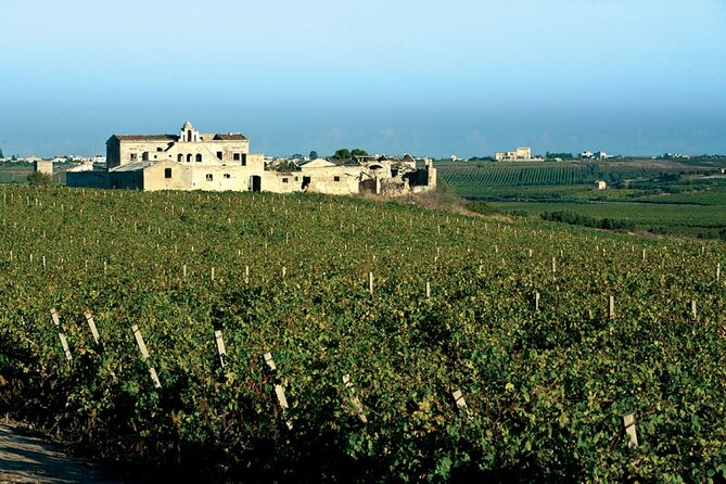 Historic winery visit with food and wine tasting in Marsala - A Guide Who Explains Marsala, Not Just the Pour