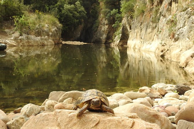 Inflatable boat excursion Gole di Tiberio on the Madonie near Cefalù - The Pollina River walk: downstream or upstream, but still swim time