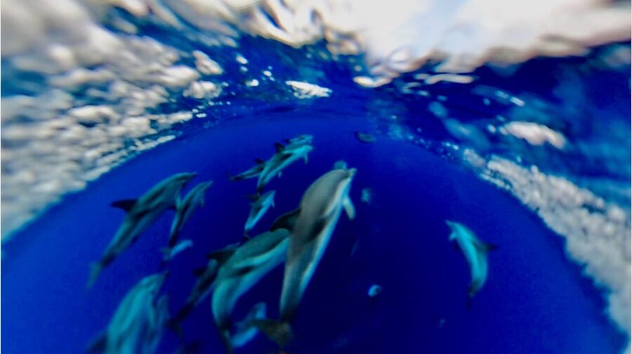 Isola Bella-Blue Grotto: Boat Tour, Snorkeling & Aperitif - Baia di Mazza and Baia di San Nicola: Two Quiet Swims