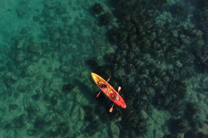 Kayak Tour: From Cala Manbrù to Torre Salsa Reserve - Key things to know before you paddle