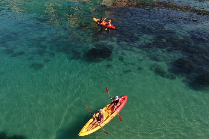 Kayak Tour: From Cala Manbrù to Torre Salsa Reserve - Price and value: what you get for $45.65 per person