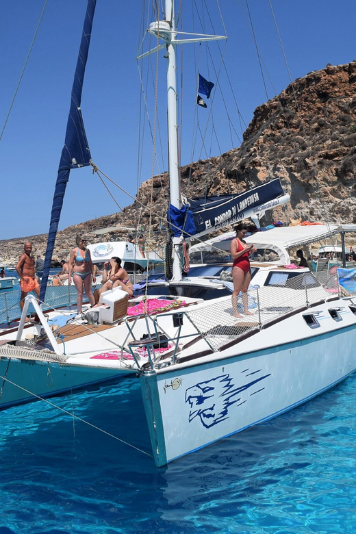 Lampedusa: Dolphin watching with aperitif at sunset - Key things to know before you go
