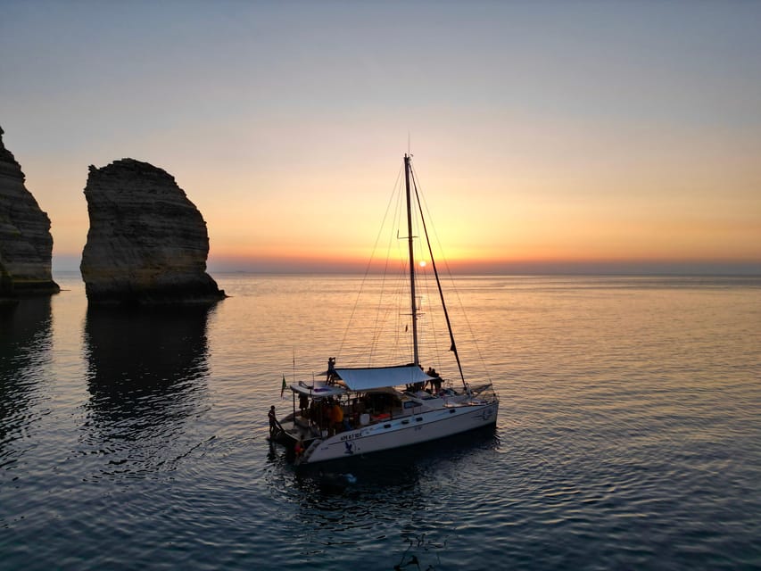 Lampedusa: Dolphin watching with aperitif at sunset - Dolphin and turtle watching: how to make it fun, not frantic