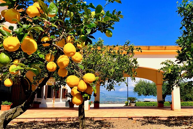 Leave the City Behind Tour with Guide Driver starts from Palermo - Key highlights at a glance