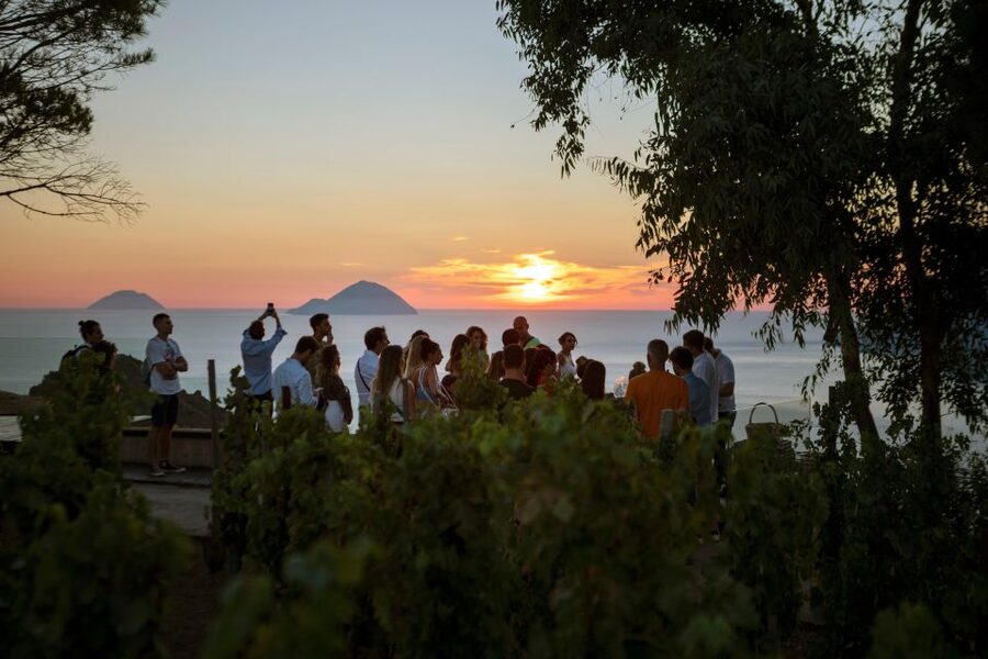 LIPARI WINERY - SUNSET WINE TASTING - The 2.5-hour flow: tour, vineyard walk, and sunset toast