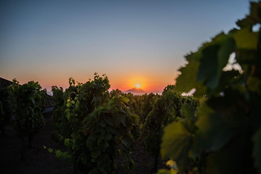 LIPARI WINERY - SUNSET WINE TASTING - Who should book Lipari’s sunset wine tasting