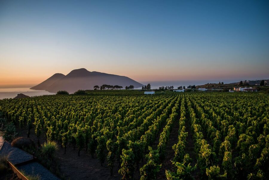 LIPARI WINERY - SUNSET WINE TASTING - Practical tips before you go