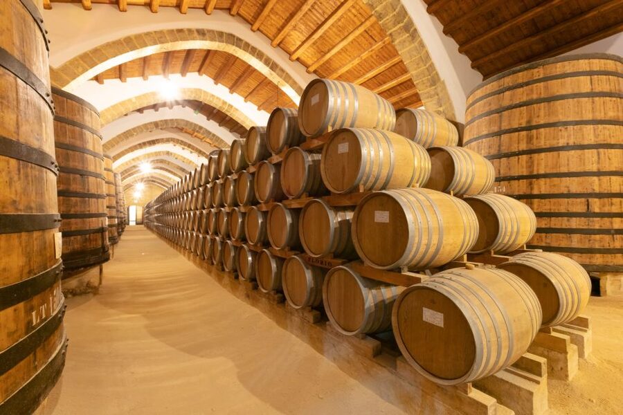 Marsala: Florio Winery Tour with Food-Paired Wine Tastings - The Sea-View Winery Walk: Where the Scenery Becomes Part of the Lesson