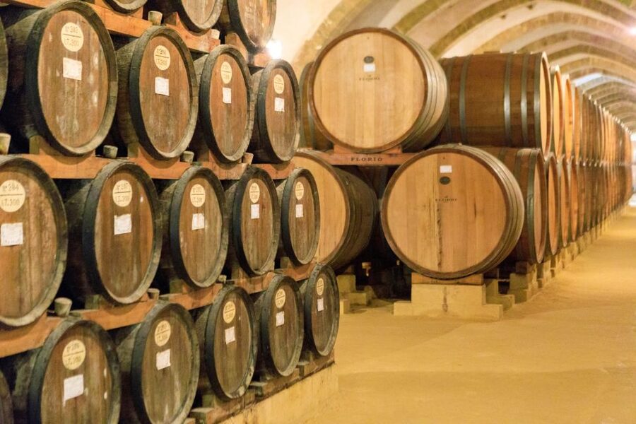 Marsala: Florio Winery Tour with Food-Paired Wine Tastings - Food Pairings: How They Help You Read the Glass