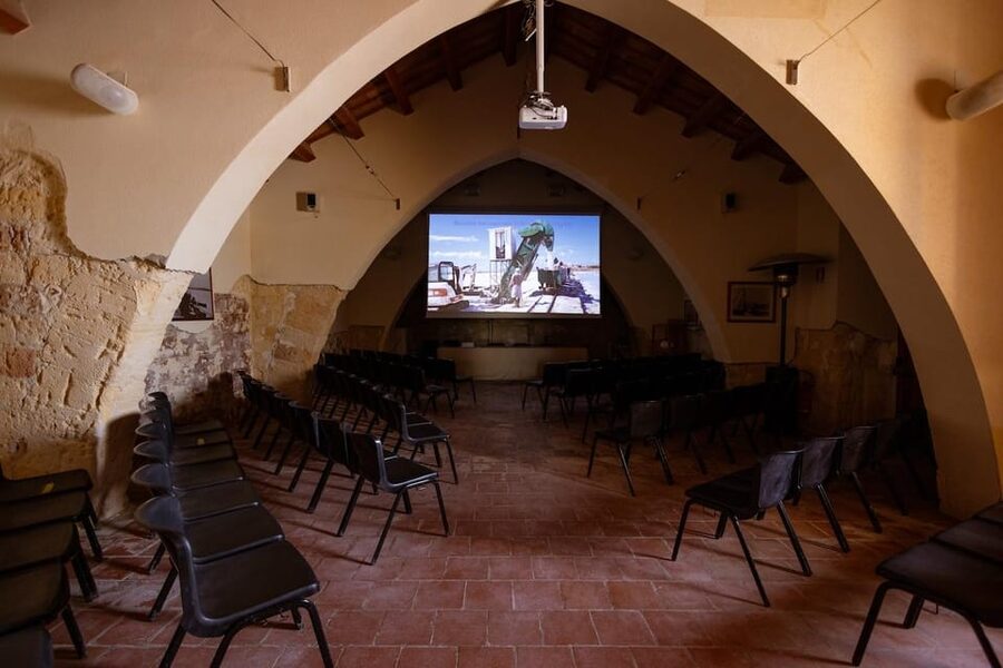 Marsala: Guided Salt Pans Walk Tour with Windmill Visit - Walking the salt flats: the mosaic look of Stagnone