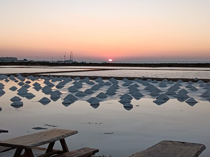Marsala: Guided tour of the Genna Salt Pans - What you learn: from brine to salt crystallization