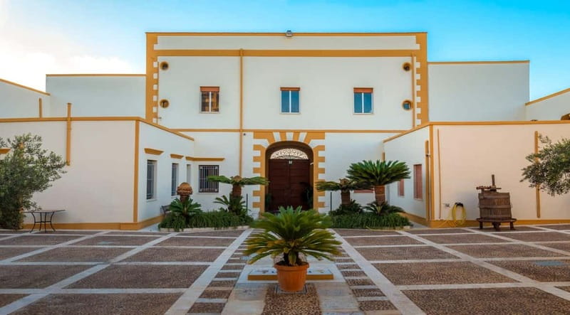 Marsala: Historic winery tour with wine tasting - Key things to love about Cantine Mothia in Marsala