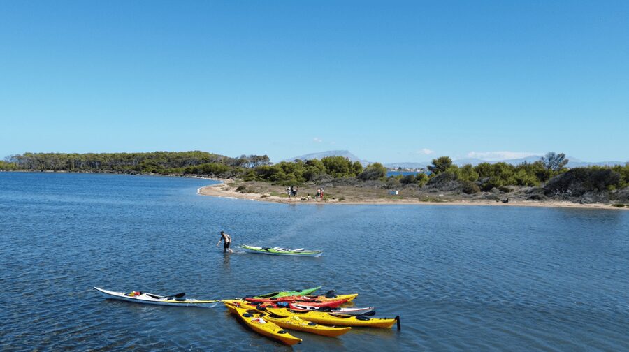 Marsala: Kayak Tour in Stagnone di Marsala Nature Reserve - Key Points You’ll Care About