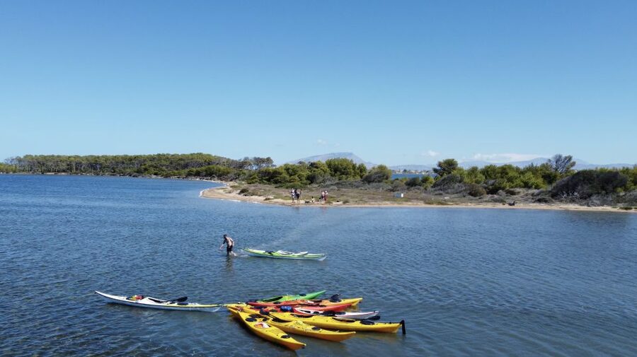 Marsala: Kayak Tour in Stagnone di Marsala Nature Reserve - Should You Book the Marsala Kayak Tour in Stagnone?