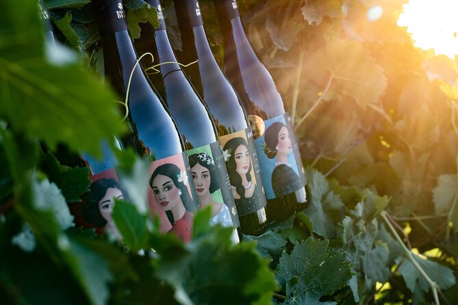 Marsala Tasting of 5 Sicilian organic wines - Key things to know before you go