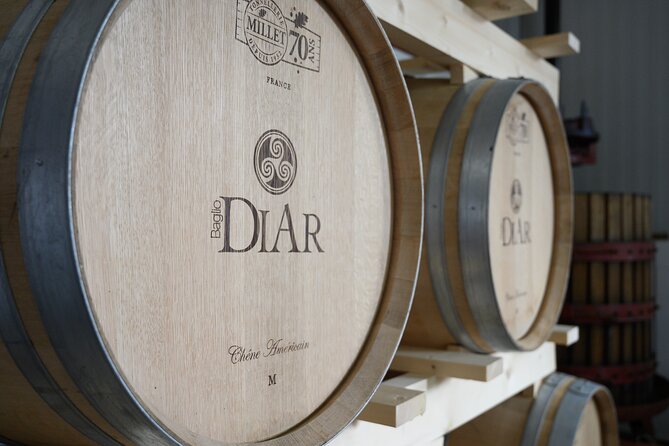Marsala Tasting of 5 Sicilian organic wines - The olive oil tasting plus bread: a practical Sicilian add-on