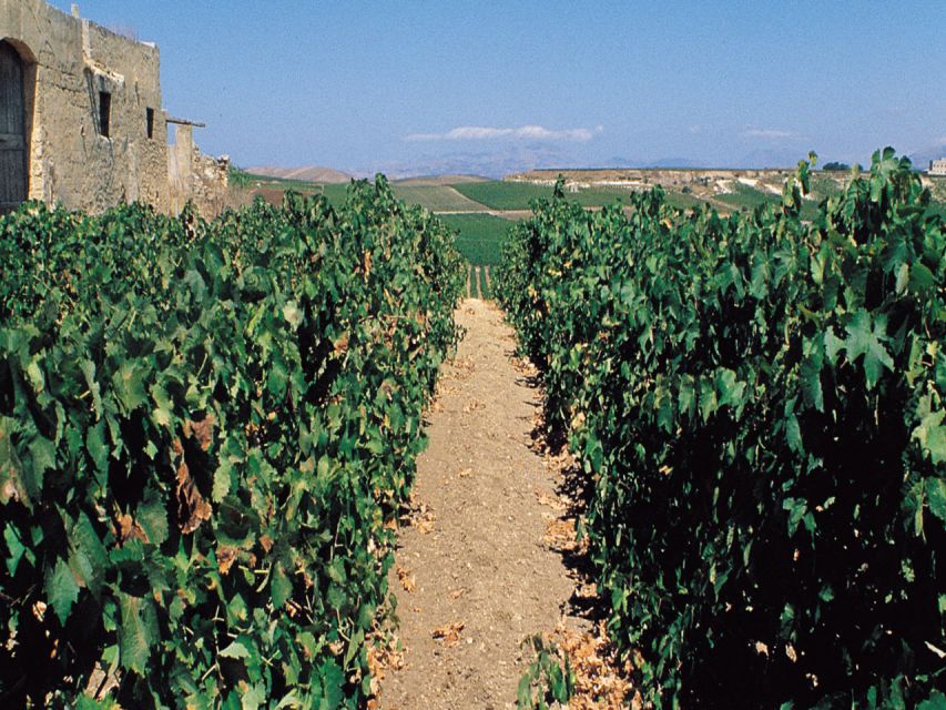 Marsala: Winery Tour with Wine Tasting and Local Products - Key things to know before you go
