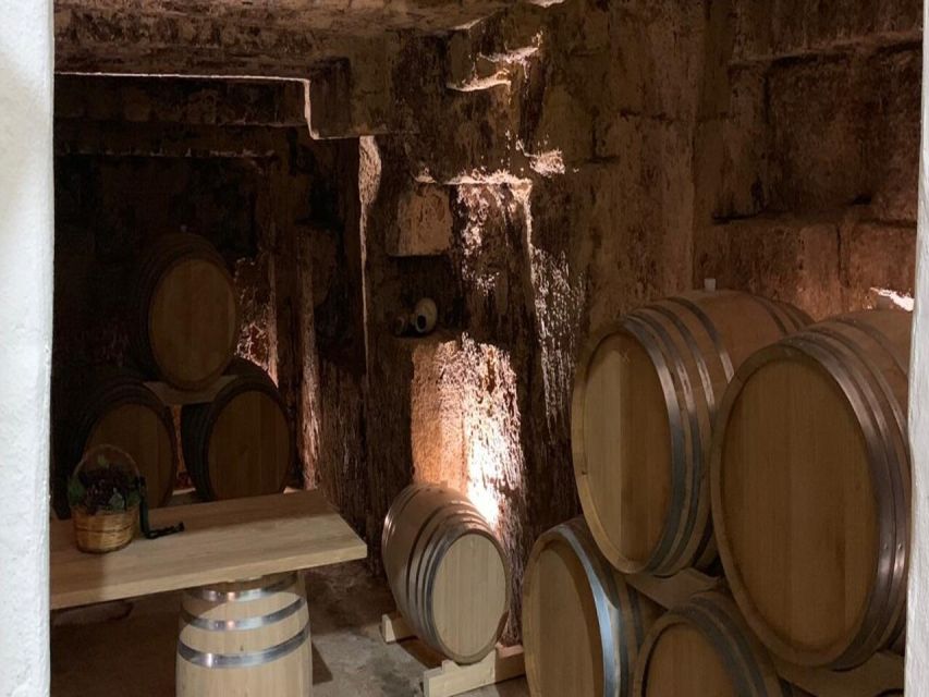 Marsala: Winery Tour with Wine Tasting and Local Products - Family-Run Moments and Clear Explanations You’ll Remember