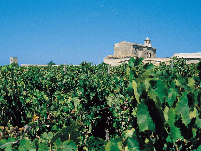 Marsala: Winery Tour with Wine Tasting and Local Products - A Manager Welcome and the Walk Through Production Rooms