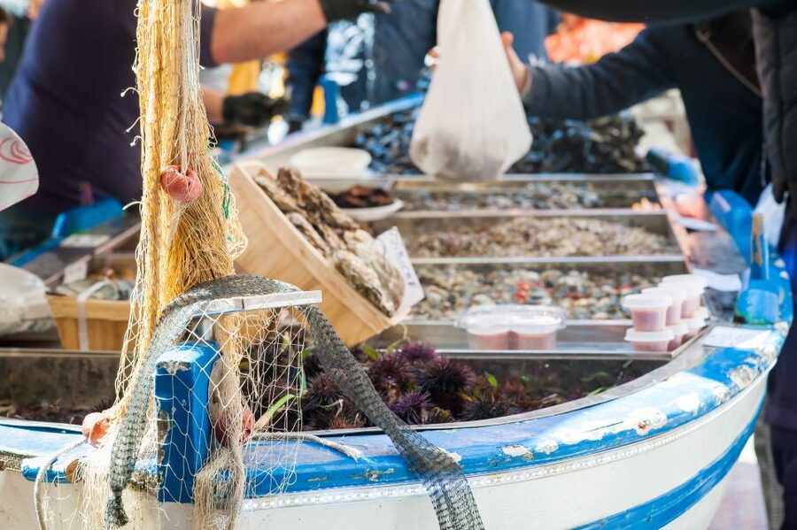 Messina: Share Your Pasta Love in Local's Home - Should You Book This Messina Cesarine Pasta Class?