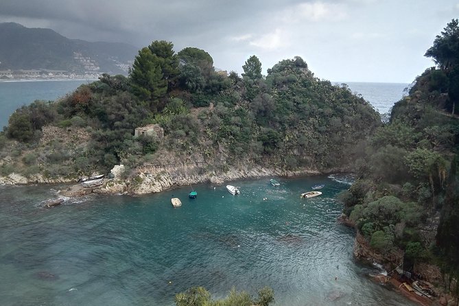 Messina Shore Special Tour of Taormina and Castelmola plus Panoramic Lunch - Should you book this Messina Shore Special Tour?