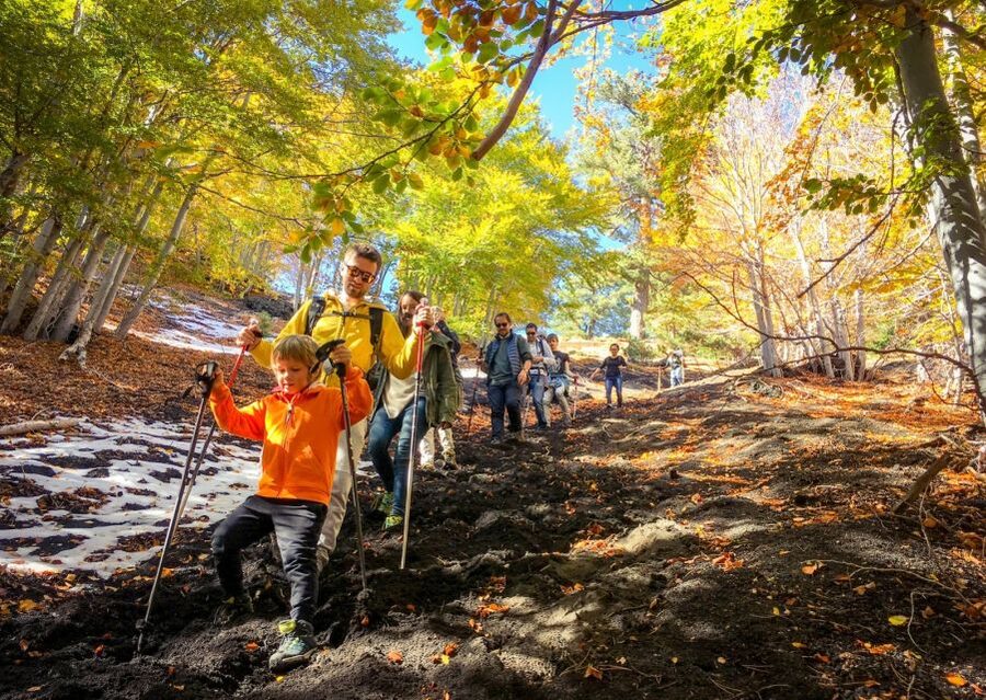 Mount Etna: Craters of the 2002 Eruption Trekking Experience - The walking route and what it means for your day