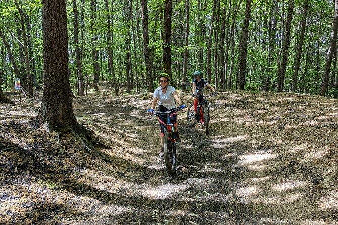 Mount Etna E-bike half-day tour - Crossing Old Lava Fields and New Lava Flows