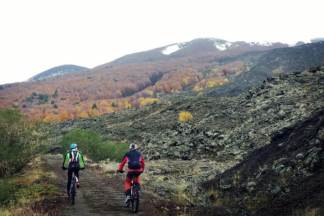 Mount Etna E-bike half-day tour - Cerrita Oak Woods: A Quiet Reset Between Lava Sections