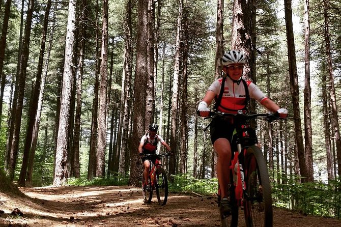 Mount Etna E-bike half-day tour - Rifugio Citelli Break: Closer to the Active Craters