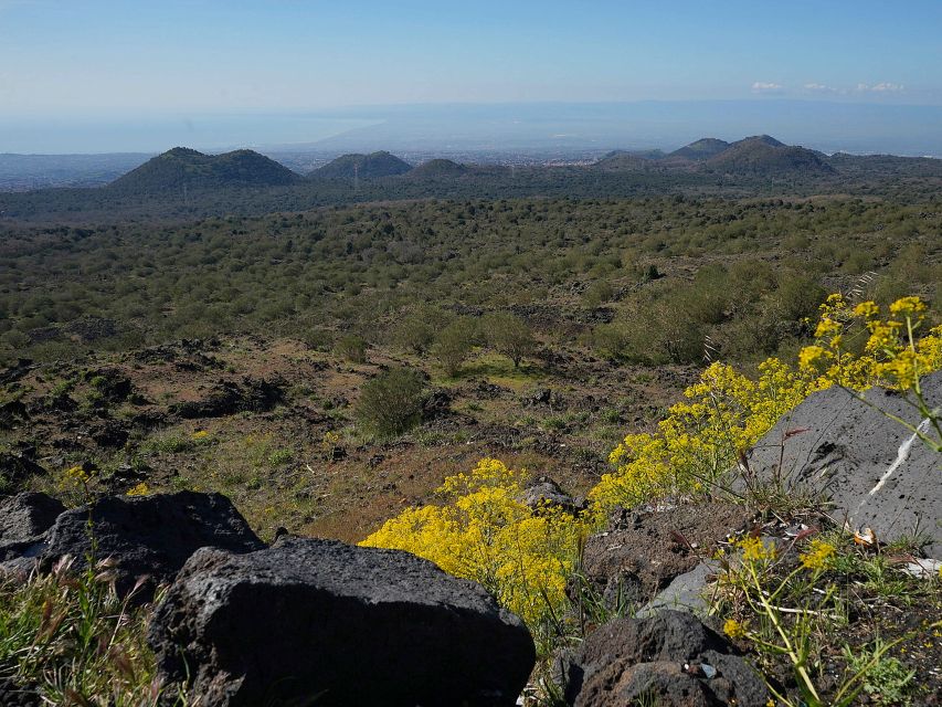 Mount Etna: Half-day Morning Jeep Tour - Guide factor: why Mr. Fabrizio gets repeat praise