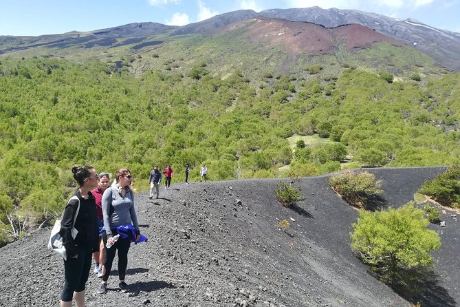 Mount Etna Half-Day Small Group Tour from Taormina - Key things I’d zero in on