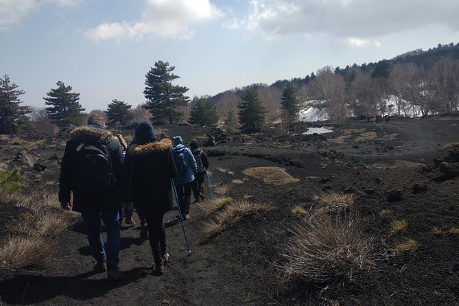 Mount Etna Half-Day Small Group Tour from Taormina - Guide quality: the difference between seeing Etna and understanding it