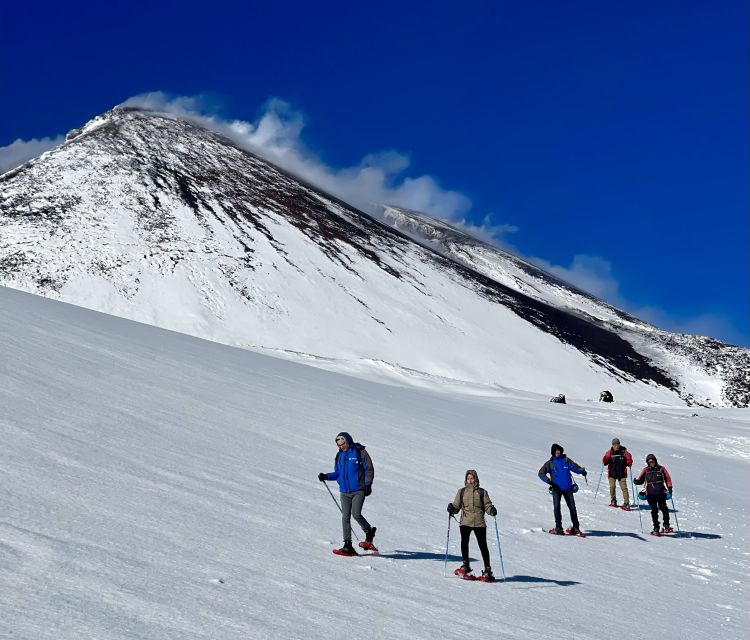 Mount Etna: Hike to The Highest Point With a Guide - Fumaroles and steaming lava banks: the closest you’ll get to Etna’s breath