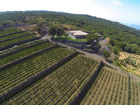 Mount Etna, Lunch in a Winery and Taormina Private Day-Trip from Messina - Lunch-Quality Reality Check: Picnic-Style Meets Pairings