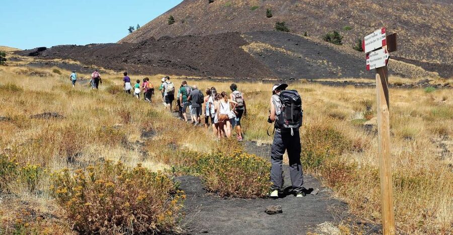 Mount Etna: Private Trek on the North Slope Craters - Beech Forest on Etna: A Strange, Wonderful Contrast