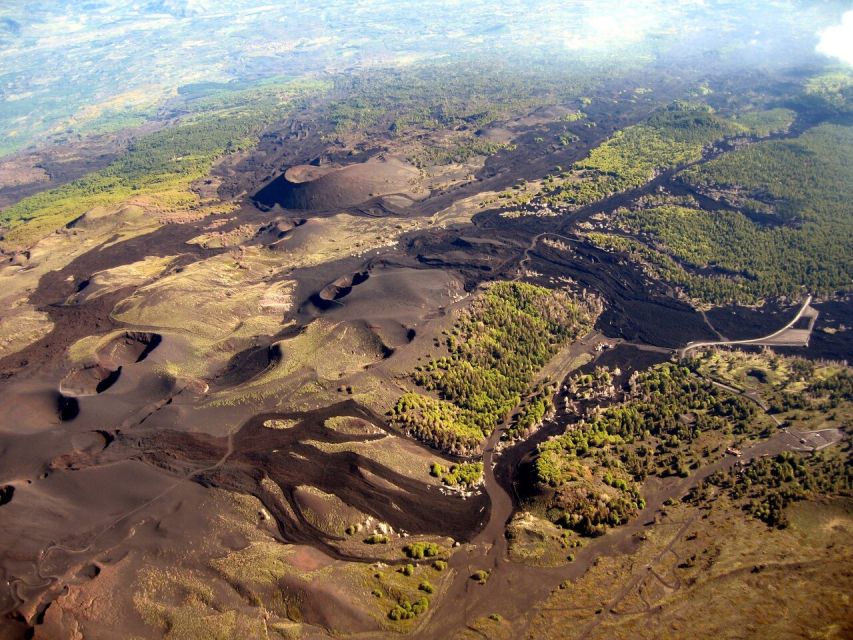 Mount Etna: Private Trek on the North Slope Craters - Ragabo Pinewood Remains: Seeing Recovery After Eruption