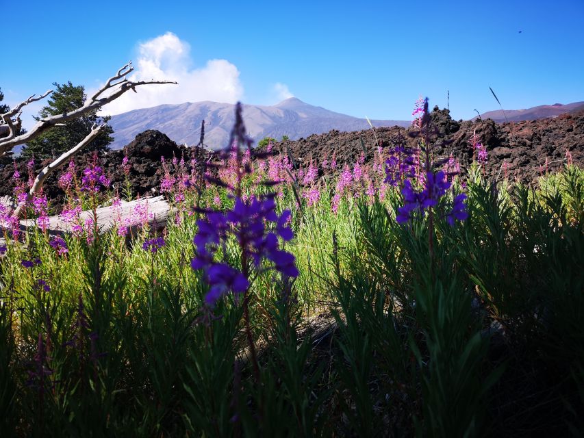Mount Etna: Trek to the Craters of The 2002 Eruption - Craters, top views, and the Bay of Naxos vs. Calabrian coast contrast