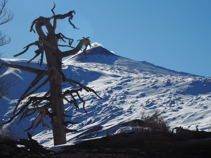 Mount Etna: Trek to the Craters of The 2002 Eruption - Getting to Piano Provenzana and starting the trek on Etna Nord