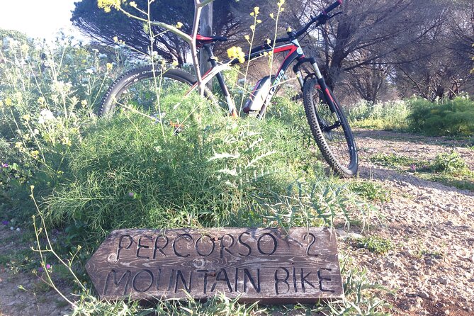 Mount Pellegrino MTB EXPERIENCE - Coastal cliffs, forests, and caves: the riding you’ll actually feel