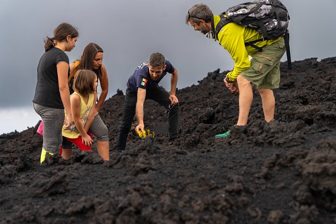 Mt Etna and Wine tasting tour from Catania - 8:30 pickup and round-trip shuttle: the logistics that matter