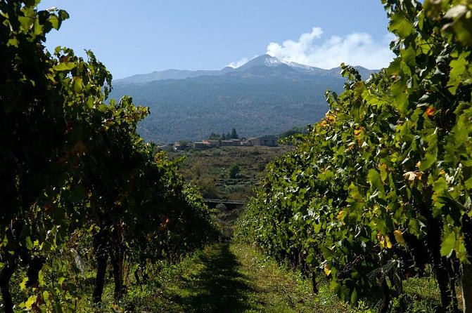 Mt Etna and Wine tasting tour from Catania - Grotta dei Tre Livelli: a short lava-cave stop with the right gear