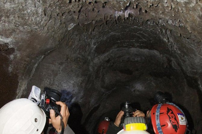 Mt. Etna nature and flavors half day Tour from Catania - Cost and value: what $71.35 really buys you