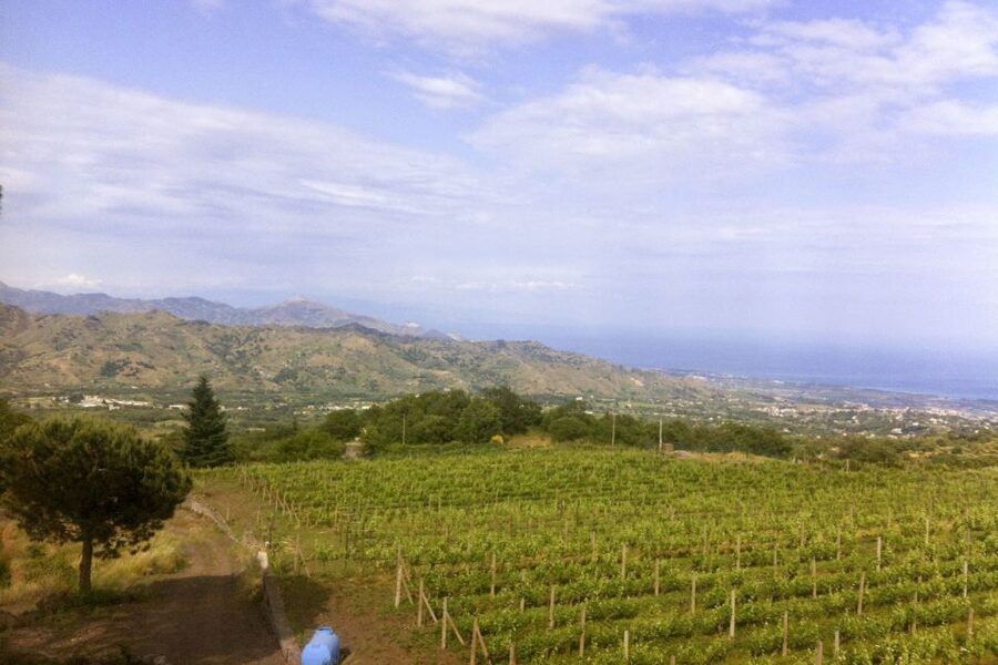 Mt. Etna Private Tour with Food and Wine Tasting - Rising to Rifugio Sapienza (~2,000 meters): when the terrain turns lunar